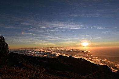 《Leo: The Firefighter Cat》Steam页面上线 10月发售